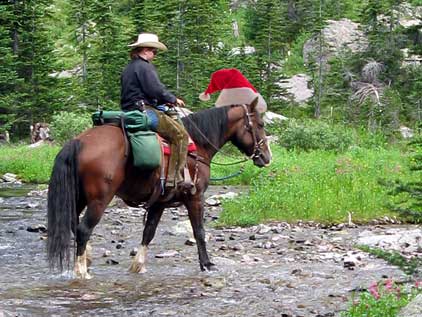 Santa Horse