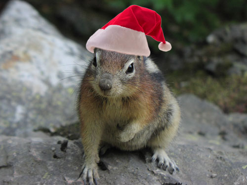Chippy Claus